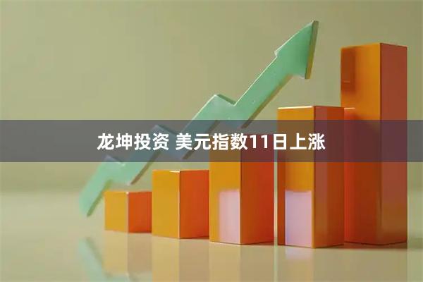 龙坤投资 美元指数11日上涨